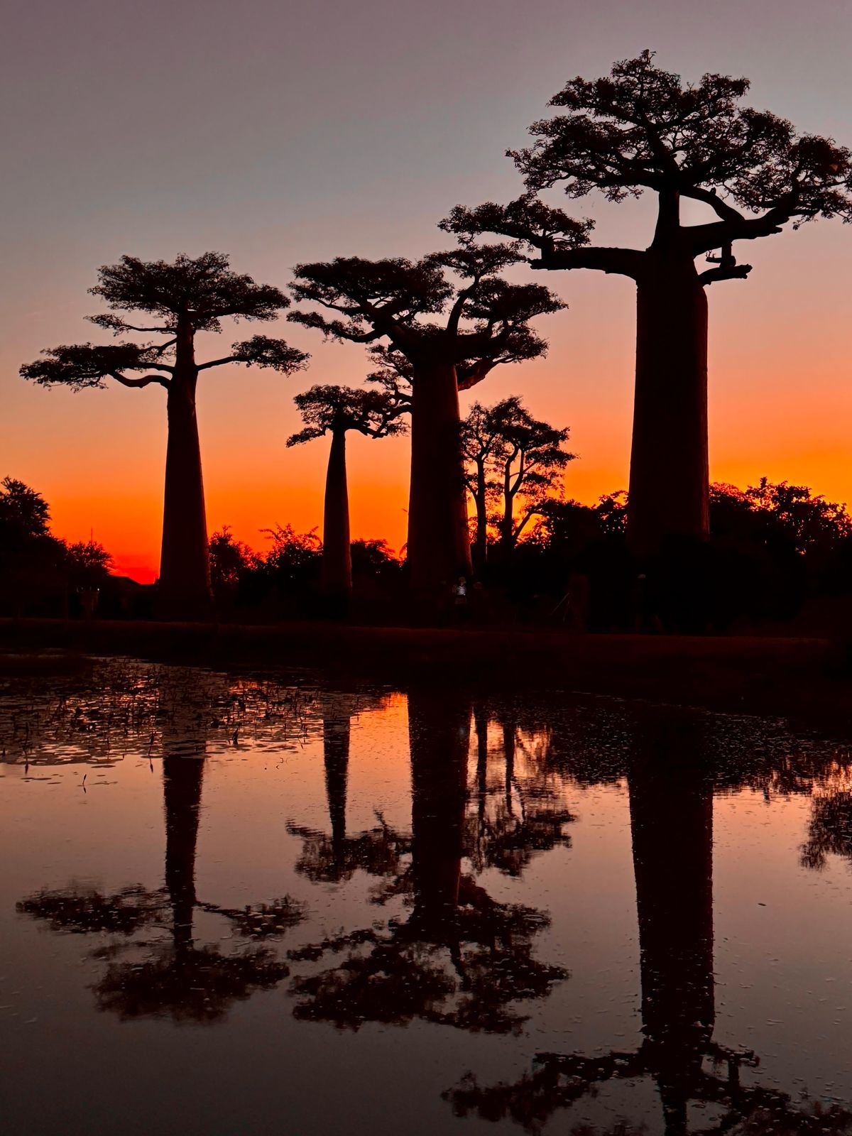 Agence de voyage - Tour opérateur - MIT